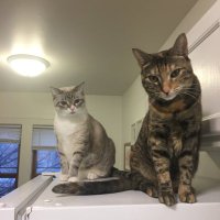 ! (@bittermelonfart) 's Twitter Profile Photo