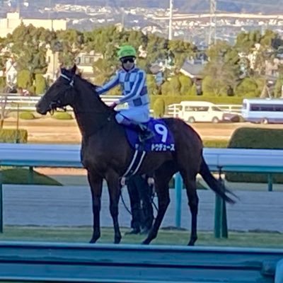 競馬歴2年目の大学生です! 2023年G1回収率200%越えです! 阪神競馬場によく現れます!推し馬はリバティアイランドです!