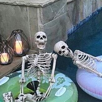 NothernPirat3's profile picture. Анка/Пира | she/her | hs, hk, genshin | GMT +9 |