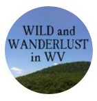 WildAndWanderWV's profile picture. 