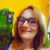 Gail🌊🌊 (@gailmm123) 's Twitter Profile