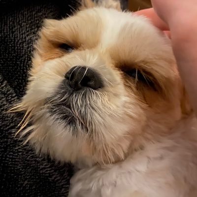 Esmith05135's profile picture. 