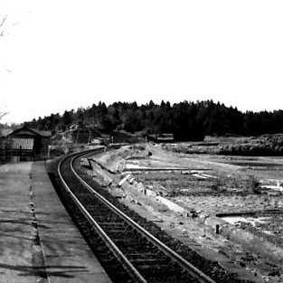 hodaka3190_npw's profile picture. 