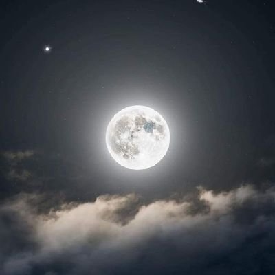 chukafon1's profile picture. 