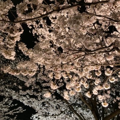 gmpwjame's profile picture. ゴシップガール、リベンジ、プリズンブレイク、ウォーキングデッド、グレイズアナトミー、クリミナルマインド、SWAT、シカゴPD、フィルシーリッチ、デビアスなメイドたち、インポスターズ、ファインディングカーター、FBI特別捜査官、ブラインドスポット等。趣味以外もつぶやきます。