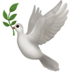 Academics for Peace (BAK) North America group's main account