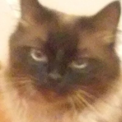 AlisaSupernova's profile picture. 