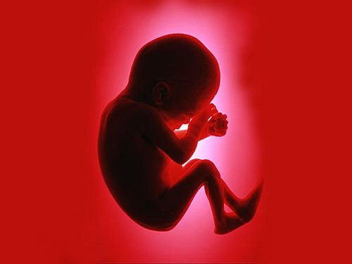A scientist unravelling the mechanisms behind developmental origins of disease and the role maternal nutrition plays in adverse pregnancy outcome.