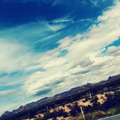 netwalk101's profile picture. 