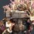 truekonrads's profile image