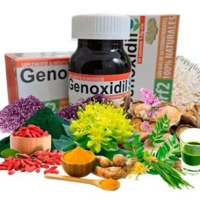 https://t.co/2jXcX4ubxF
📈 Expansão Mundial! Genoxidil.
🍃 O suplemento mais completo do planeta. 🌎🍃 Distribuído em + de 76 Países 🇺🇸 🇲🇽 agora n