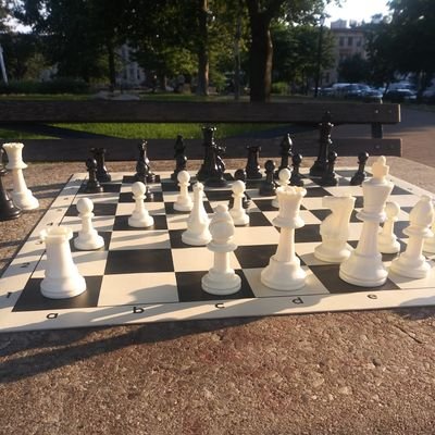 Chess is life, let's go! | Twitch Streamer | Plants 💚|Food |Art | Books| comical/sober musings #chesspunks