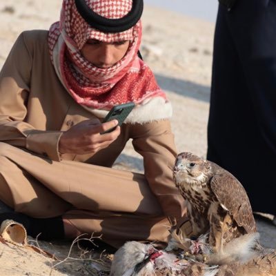 Fi7i5's profile picture. 