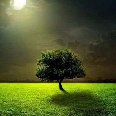 Your beliefs show how much trust or faith you have in something or somebody.