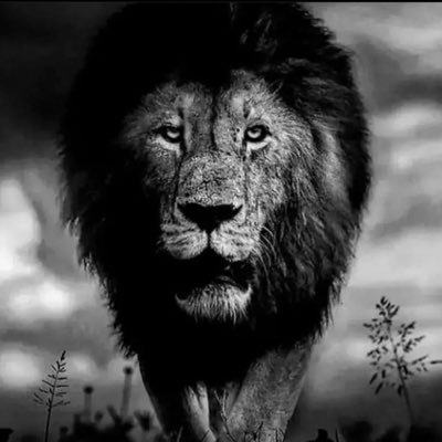 TraderABCrypto's profile picture. 