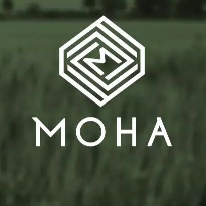 MOHAA