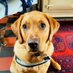 Tales of Teddy Edward (@teddyedward2021) Twitter profile photo Tales of Teddy Edward (@teddyedward2021) Twitter profile photo