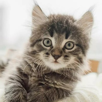 bobbobert7's profile picture. Crypto, political, nature enthusiast... and some other things.