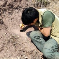 Wongwech Chowchuvech (@jobsaurusrex) 's Twitter Profile Photo Wongwech Chowchuvech (@jobsaurusrex) 's Twitter Profile Photo