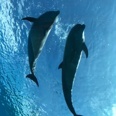 ななみななさんに逢って一瞬で沼落ち😍 今1番の推し‼︎ ドリカム(PP会員)/ENDRECHERI/名探偵コナンも好き(*≧∀≦*) DOMOTOファンで剛くん寄りですがftr一緒が最高👬