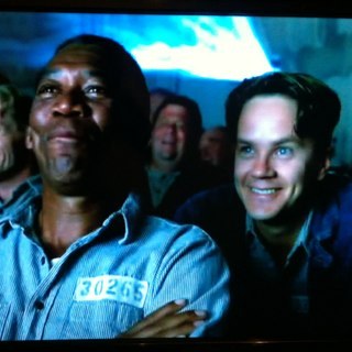 wonderrground's profile picture. 