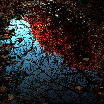 Z_lotfipour's profile picture. I am a photographer