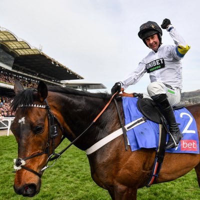 elJeetips's profile picture. Easy money