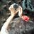 Ozge Subasi (@sozges) Twitter profile photo