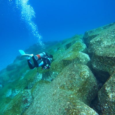 東京都の島、新島で、ダイビングポイント拡大と、ショップを立ち上げたいダイビングインストラクターです。新島の観光業や漁業のコラボをゆくゆくはしていきたいです。2024年は伊豆でイントラ業してます(たぶん)#ダイビング #新島ダイビング #diving #東海汽船 #フグ好き #PADI #インストラクター #OWSI