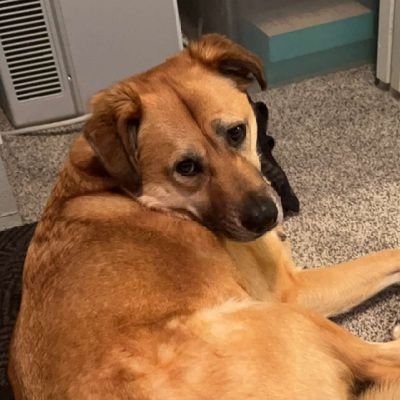 AdamNun81677574's profile picture. 