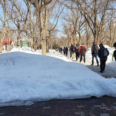 nostal_fin's profile picture. 27卒 東京科学大学院生