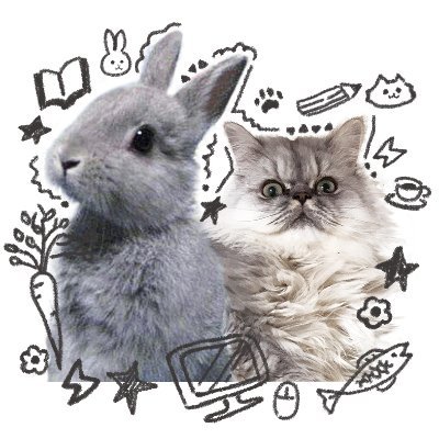 Web系エンジニア、フロントエンド、バックエンド、最近はLLMアプリ開発メイン。愛猫のもこちゃんといつも頑張ってます🐱 TypeScript / Next.js / Python / FastAPI 猫だけのLGTM画像を共有できるサービス https://t.co/TobLfNzKcE を開発しています🐱