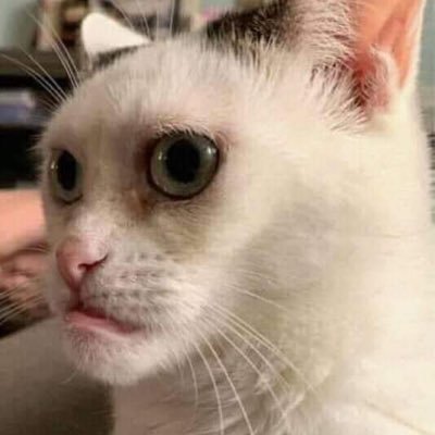 Frameset16's profile picture. 