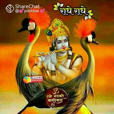 bansal_noida's profile picture. 