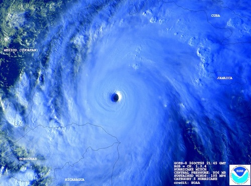 HurricaneIrenez's profile picture. 