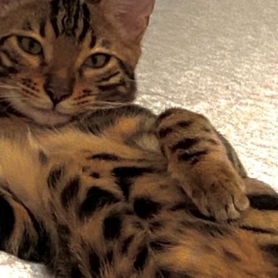 ZDW1026's profile picture. 