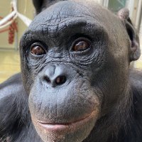 Markuss (@kursitism) 's Twitter Profile