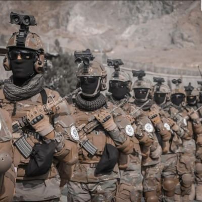 P_specialforces's profile picture. 