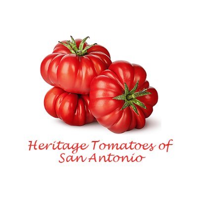 Heritage Tomatoes of San Antonio