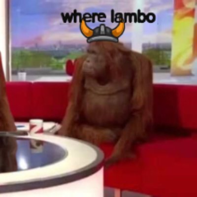 wherelamboo's profile picture. #FLOKI viking ⚔
#Bitcoin #ElonMusk #TSLA #CZ #Tokenfi 🙋‍♂️ | 🖕 war