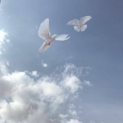 muna67558253's profile picture. اجمل مافي الحياة الرضا بكل مايقسمه الله ويقدره