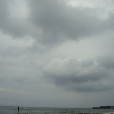 SzeligaZbigniew's profile picture. 