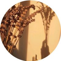 شاعرة زماني | صلَّوا عليهﷺ (@xsa___33) Twitter profile photo