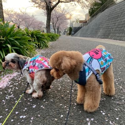 _Janmika25's profile picture. 