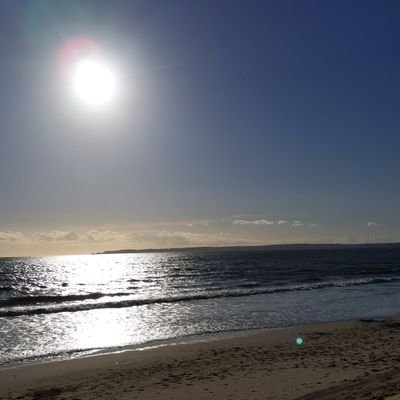 whoareyou_64's profile picture. Since when did you start defending the 0.1%  🙂🏴󠁧󠁢󠁷󠁬󠁳󠁿💚✊