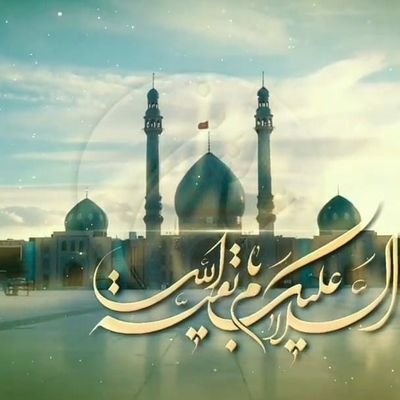 Syed44037002's profile picture. 