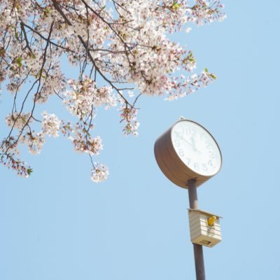 カメラ初心者✼̥୭*ˈ /NikonD3500/SONYα7III/カメラはじめてみました。のんびりおべんきょうしてみます*Ü* #こじふぉとカメラ部