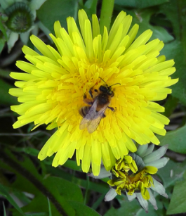 LetsLiveLonger's profile picture. Sharing information that promotes well-being & enables us to live a longer and happier life...