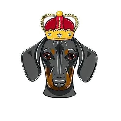 Dogeking: Become the biggest dog king in the metavers.

Holding Dogeking rewards $Doge based on daily on-chain transaction fees.