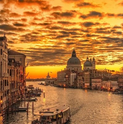 Nana53944309's profile picture. love,
Sarsa African Black Soap 
Refreshing